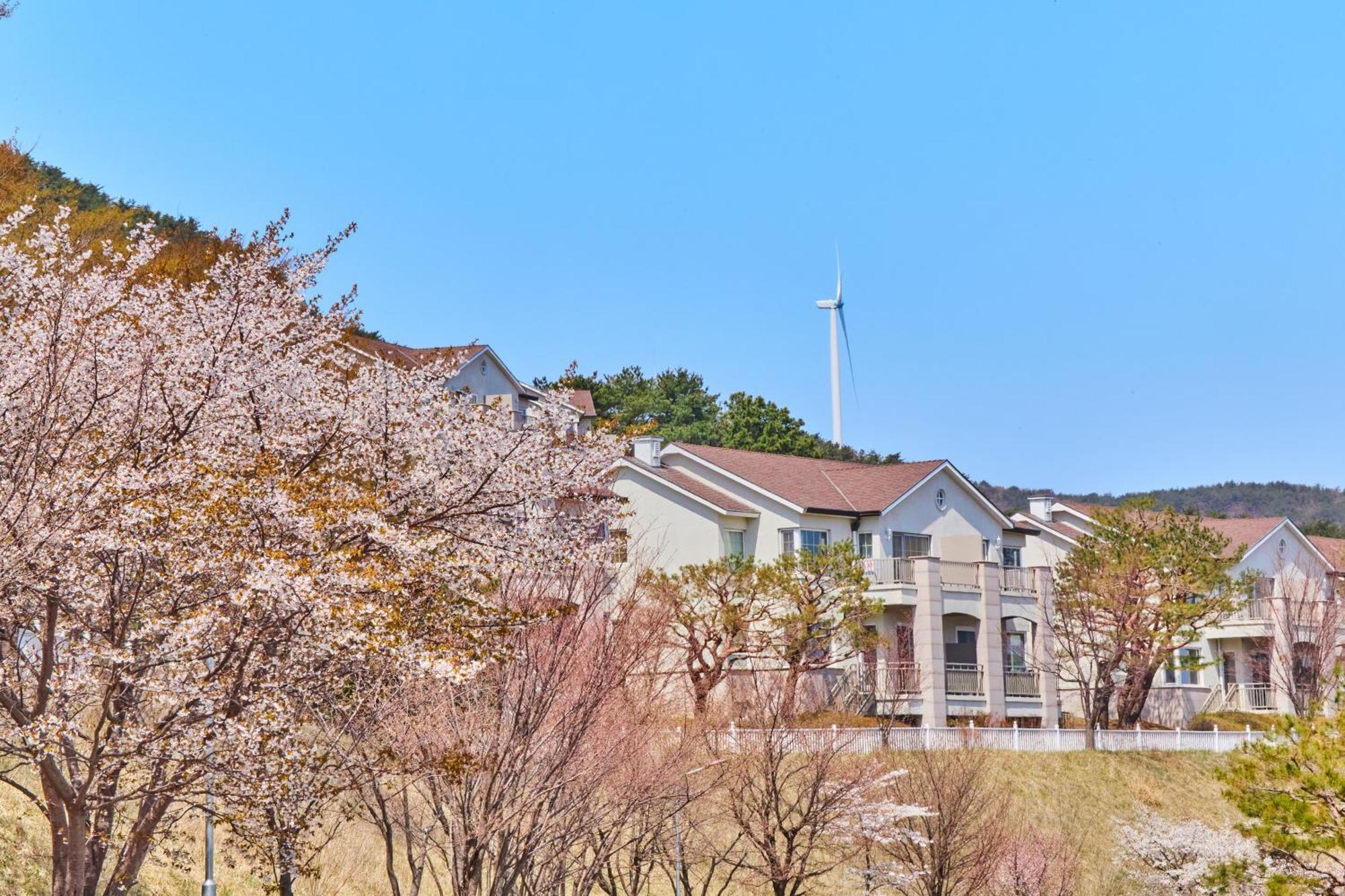 Gyeongju Mauna Ocean Resort Exterior photo