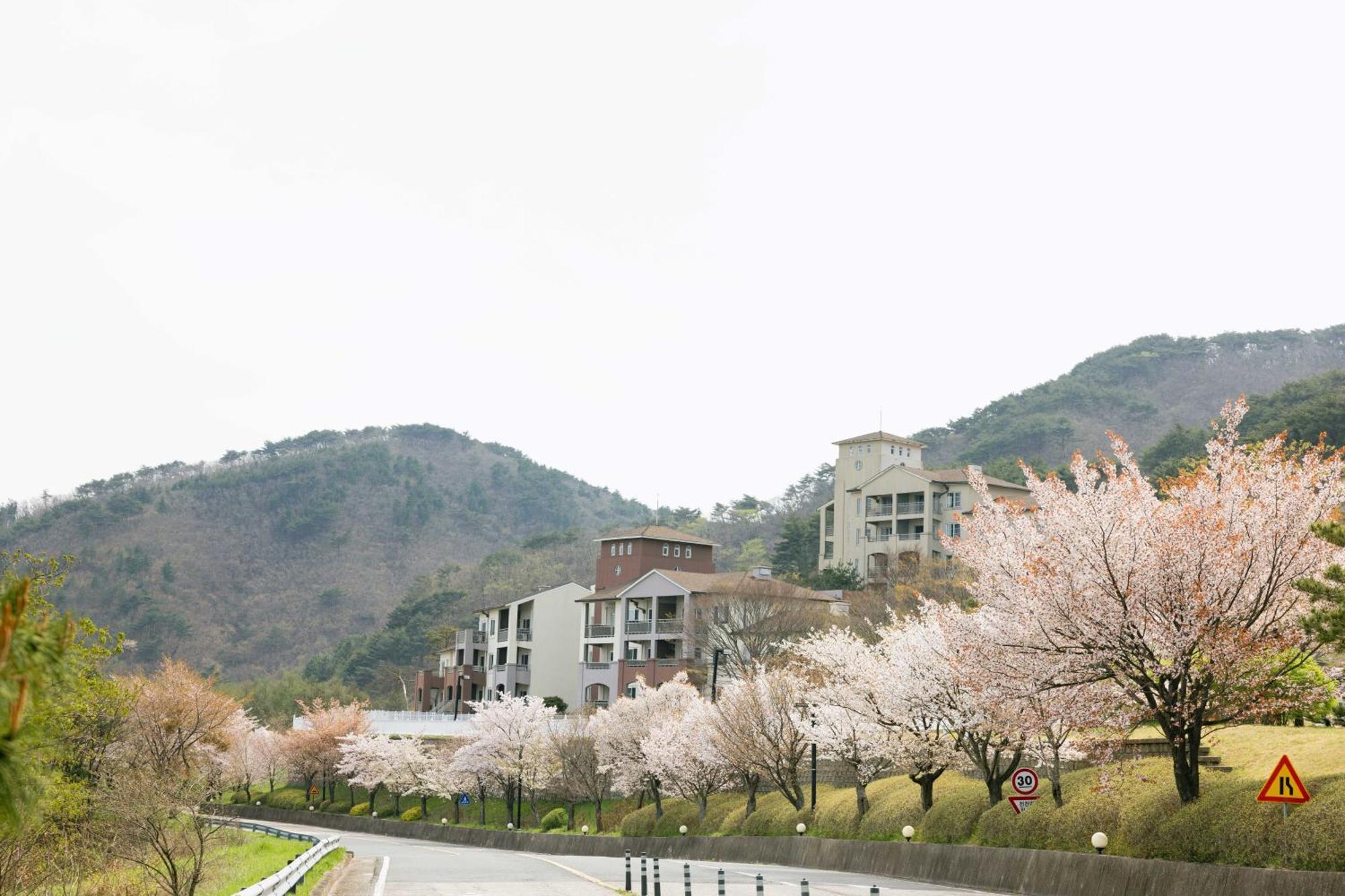 Gyeongju Mauna Ocean Resort Exterior photo