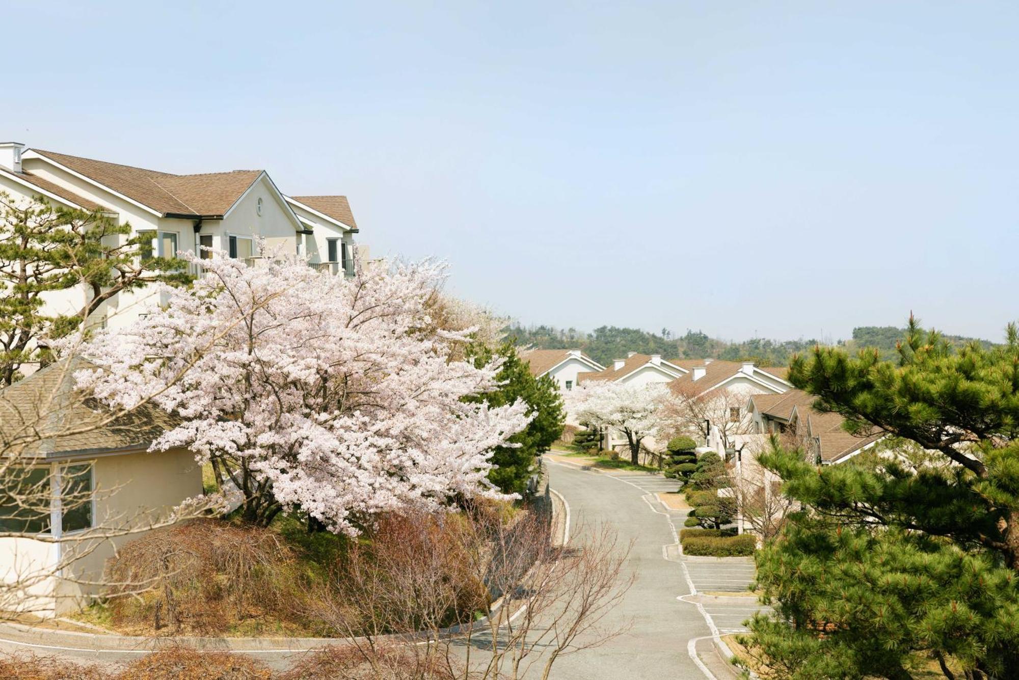 Gyeongju Mauna Ocean Resort Exterior photo