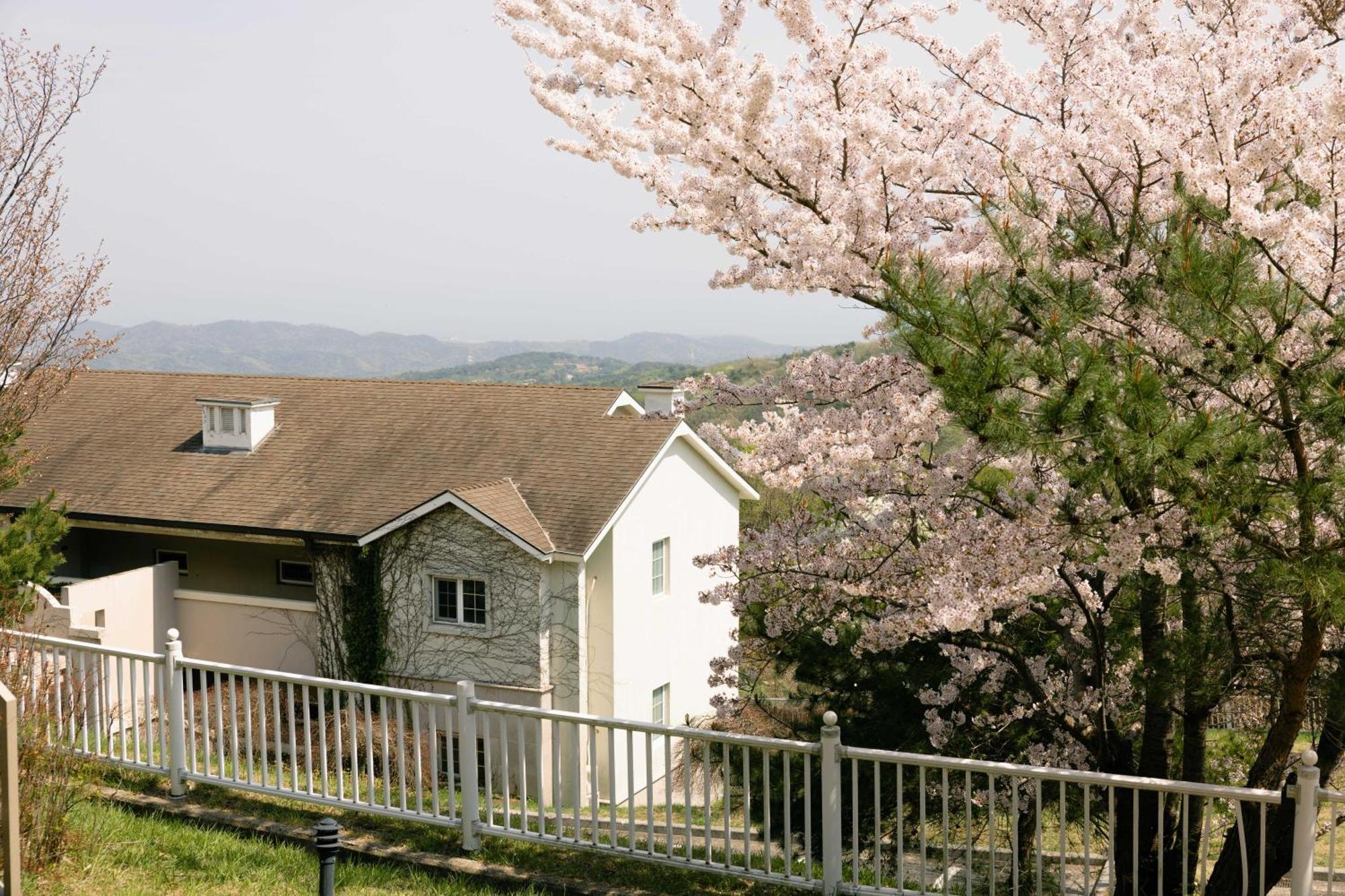 Gyeongju Mauna Ocean Resort Exterior photo
